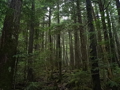 R0011896