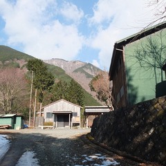 DSCF4544