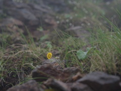 R0012081