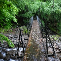 R0109617