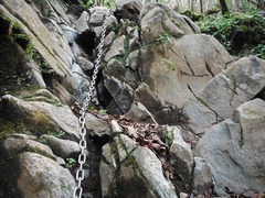 DSCF3839