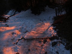 DSCF4622