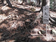 DSCF1263