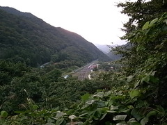 R0108874