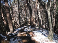 DSCF1264