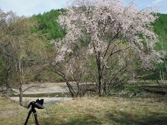 DSCF0459