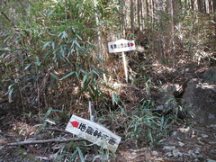 DSCF1647