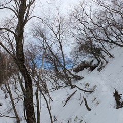 DSCF4571