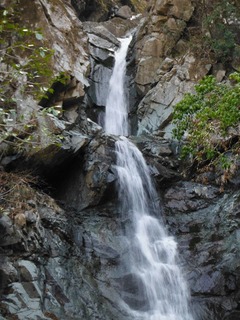 DSCF1813_2