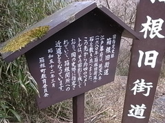 R0108131