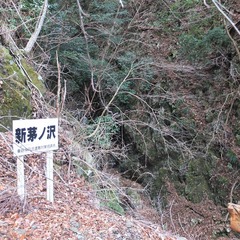 DSCF4542