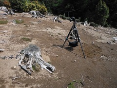 DSCF4873