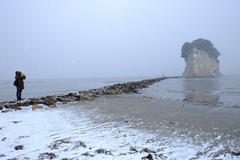 SNO19533