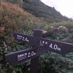 DSCF2937