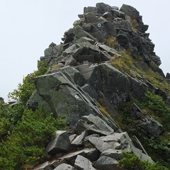 DSCF3062