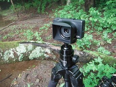DSCF0619