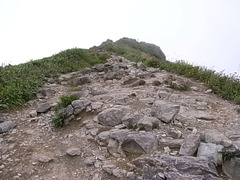 R0108849