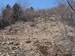 R0010476