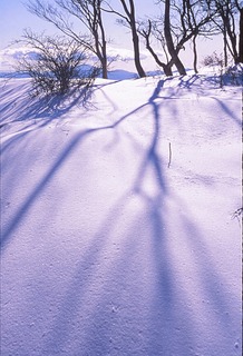 雪面