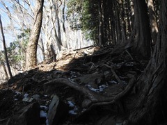 DSCF1273