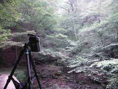 DSCF3804