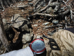 DSCF1677
