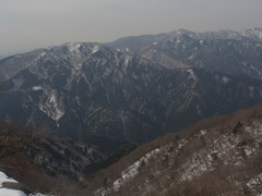 R0010390