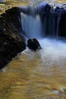 DSC00907
