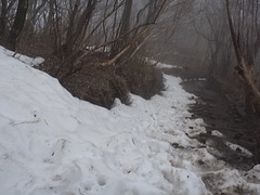 R0010281