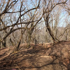 DSCF5006