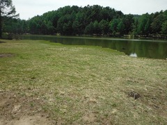 DSCF0449