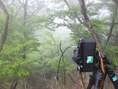 DSCF5138