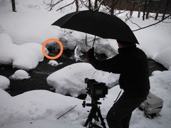 DSCF4183