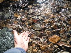 DSCF1777