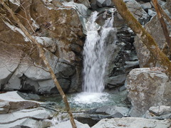 DSCF1800