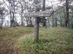DSCF3824