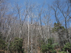 DSCF1663