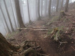 DSCF5148