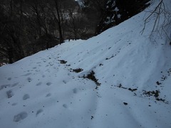DSCF4396