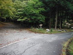 DSCF3854