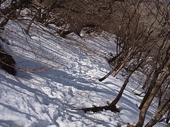 R0010827