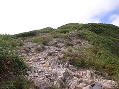 R0108840