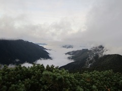 IMG_1729