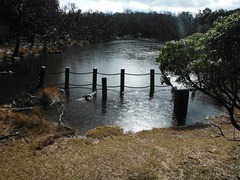 DSCF6141
