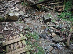 DSCF3845