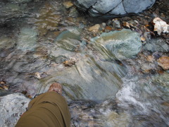 DSCF1818