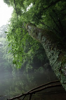 R0010019