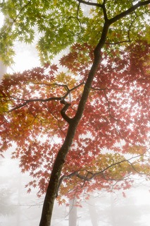 DSC05082-1