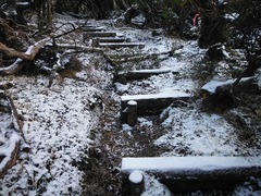 DSCF6139