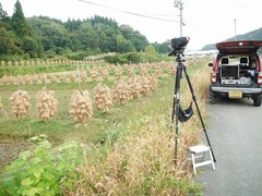 DSCF5676
